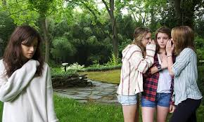 This could be your future daughter's life as a teenager (Image:www.stopchildbullying.com)