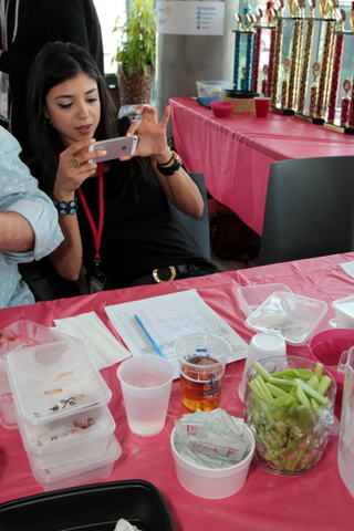 2014TorontoChickenWingFestival-66