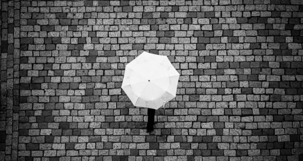 Carless-Living_The-Plaid-Zebra-750x400