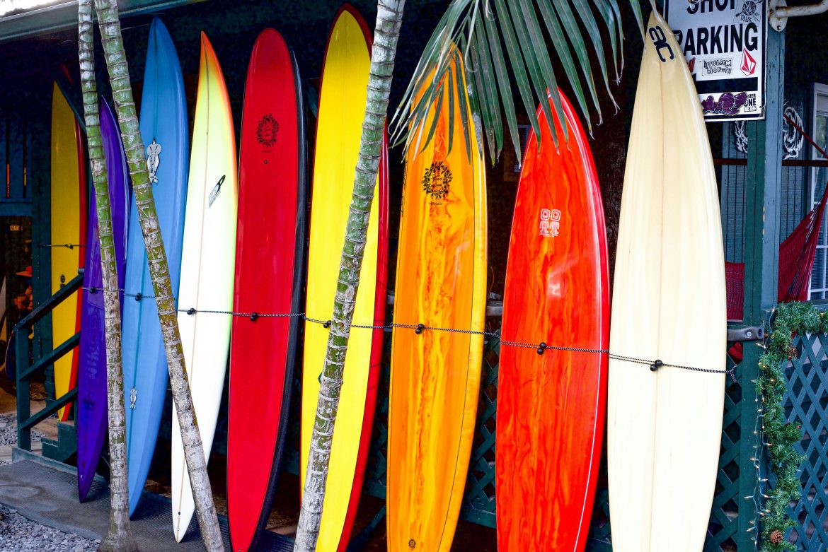 Surf Borads in a line up